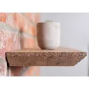 DSC_6830 копія.webp