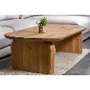 DSC_6349 копія.webp