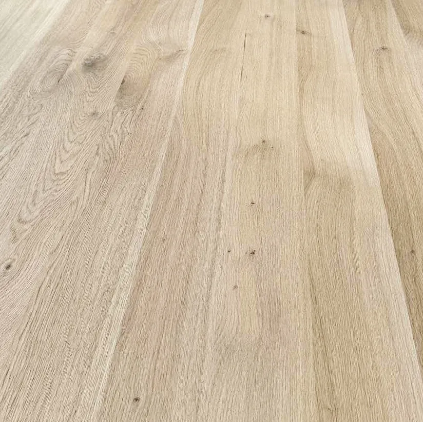 WhatsApp Image 2026-03-24 at 11.31.17.webp